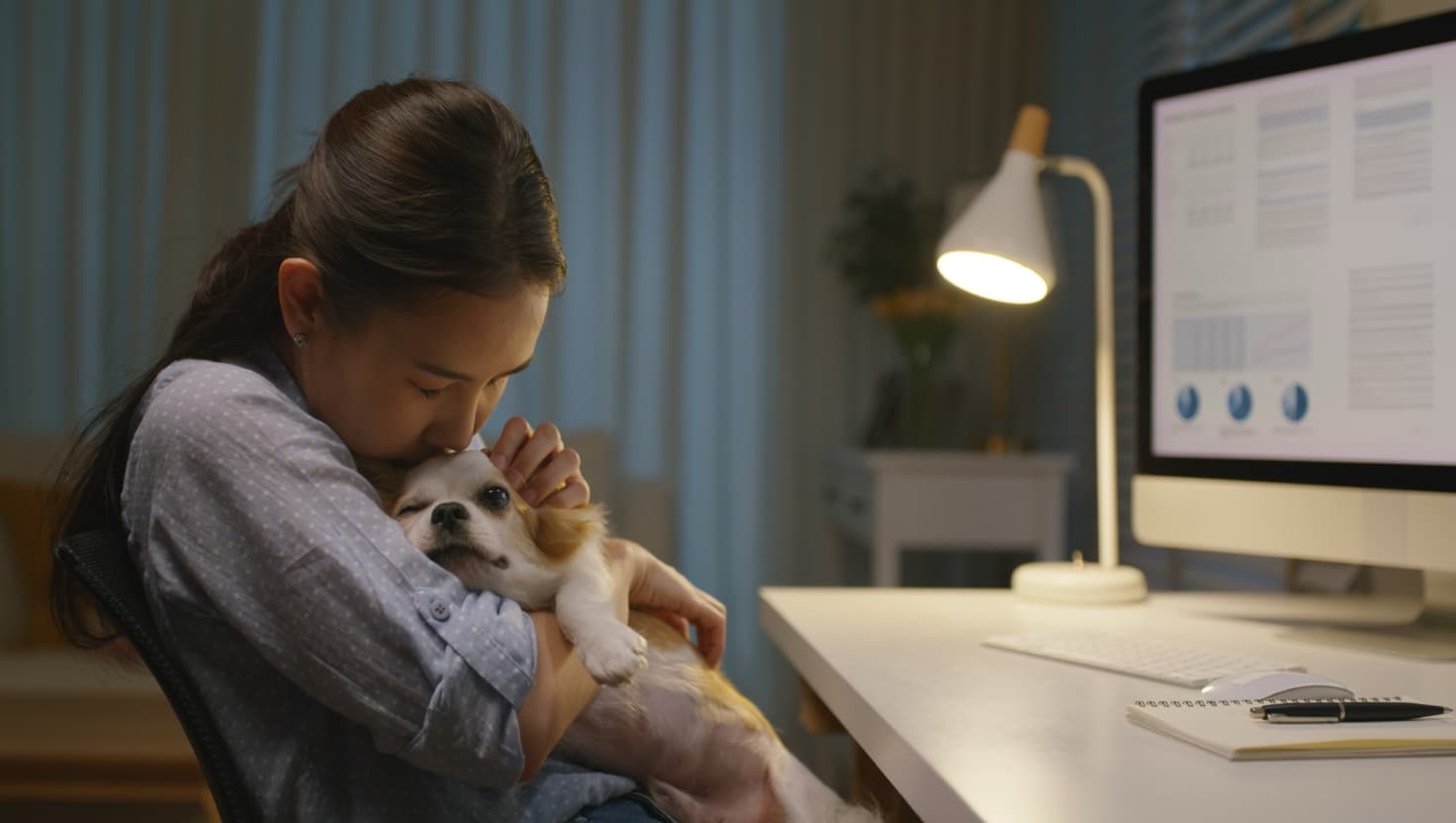 Pet parent navigating travel requirements